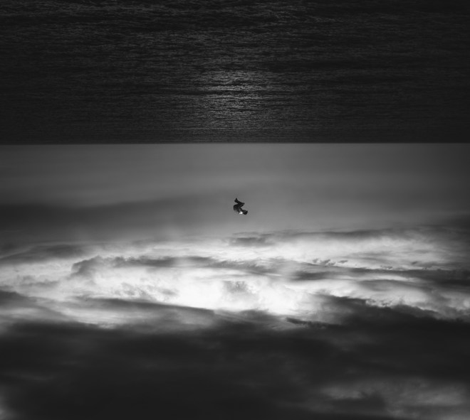 "Plunge" by André Varela