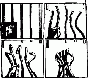 prison-bar-fist